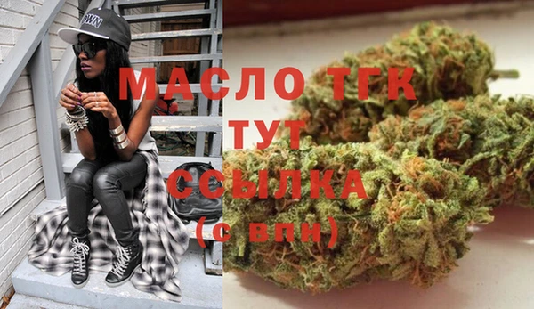 мдпв Михайлов