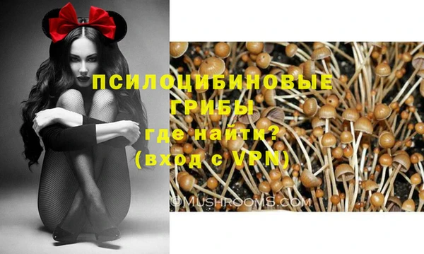 мдпв Михайлов