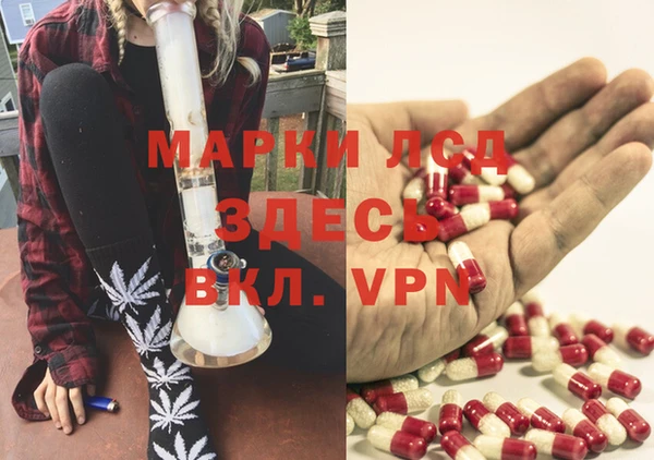 мдпв Михайлов
