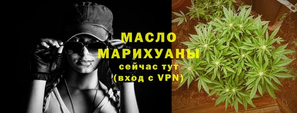мдпв Михайлов