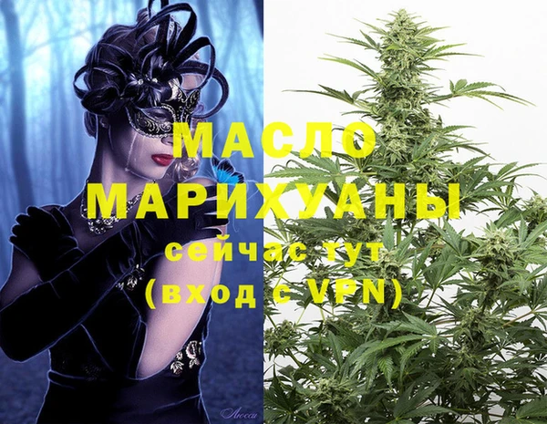 мдпв Михайлов