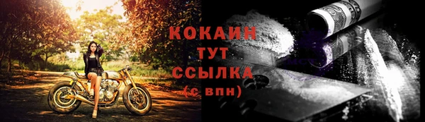 мдпв Михайлов